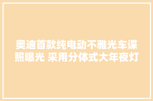奥迪首款纯电动不雅光车谍照曝光 采用分体式大年夜灯+电子后视镜
