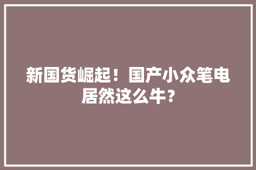 新国货崛起！国产小众笔电居然这么牛？
