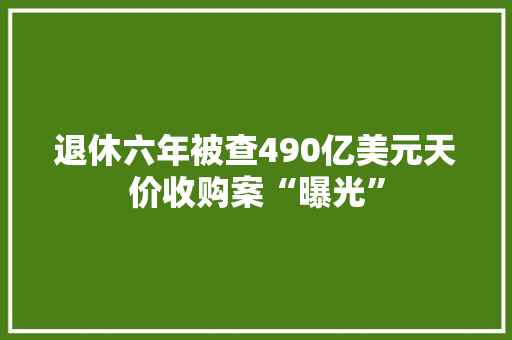 退休六年被查490亿美元天价收购案“曝光”