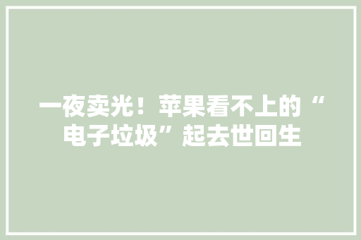 一夜卖光！苹果看不上的“电子垃圾”起去世回生