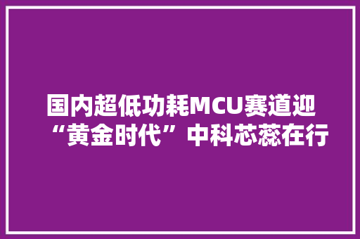 国内超低功耗MCU赛道迎“黄金时代”中科芯蕊在行动