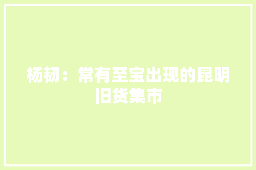 杨韧：常有至宝出现的昆明旧货集市