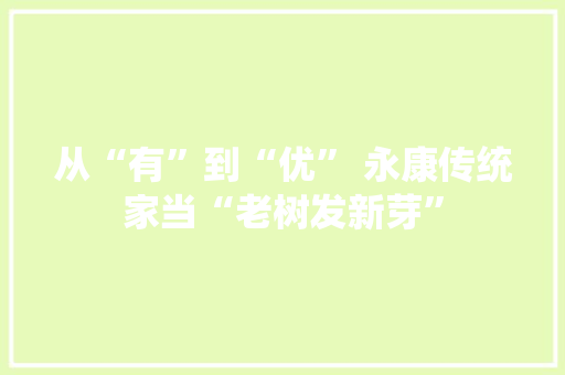 从“有”到“优” 永康传统家当“老树发新芽”