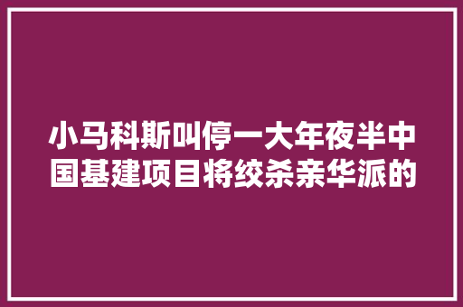 小马科斯叫停一大年夜半中国基建项目将绞杀亲华派的绳索越勒越紧