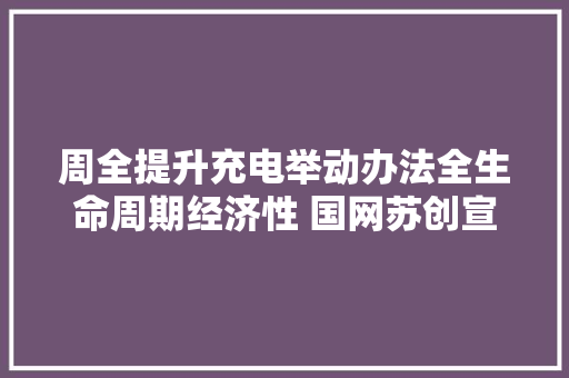 周全提升充电举动办法全生命周期经济性 国网苏创宣告5项充电新技能