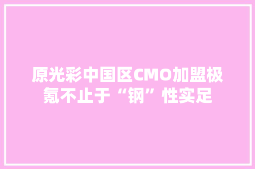 原光彩中国区CMO加盟极氪不止于“钢”性实足