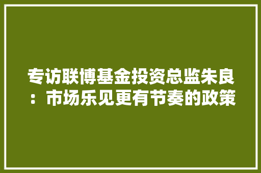 专访联博基金投资总监朱良：市场乐见更有节奏的政策支持 量化模型需与基本面研究结合