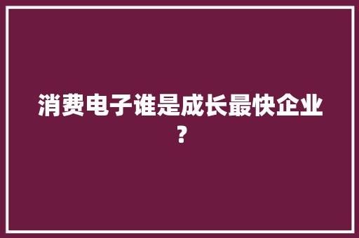 消费电子谁是成长最快企业？