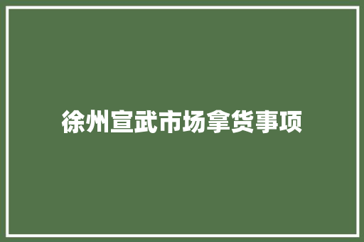 徐州宣武市场拿货事项