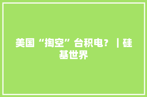 美国“掏空”台积电？｜硅基世界