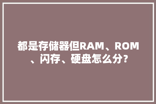 都是存储器但RAM、ROM、闪存、硬盘怎么分？