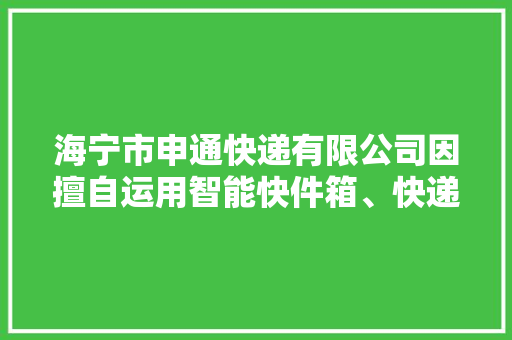 海宁市申通快递有限公司因擅自运用智能快件箱、快递做事站等办法送达快件案被罚款300元