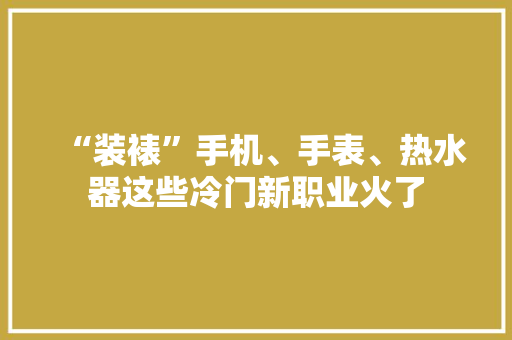 “装裱”手机、手表、热水器这些冷门新职业火了