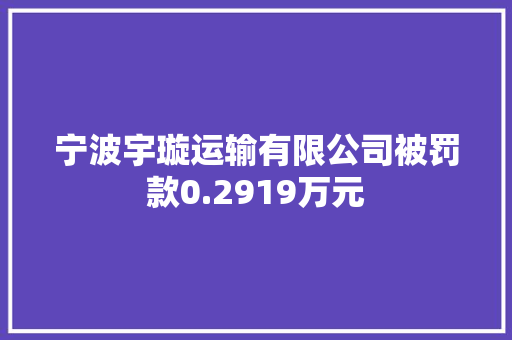 宁波宇璇运输有限公司被罚款0.2919万元