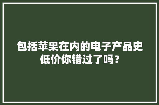 包括苹果在内的电子产品史低价你错过了吗？