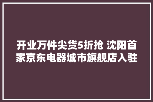 开业万件尖货5折抢 沈阳首家京东电器城市旗舰店入驻铁西万达