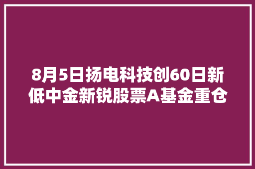 8月5日扬电科技创60日新低中金新锐股票A基金重仓该股