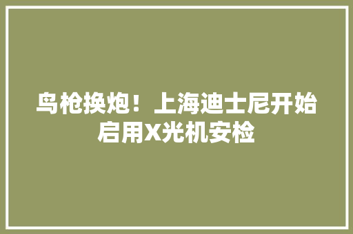 鸟枪换炮！上海迪士尼开始启用X光机安检