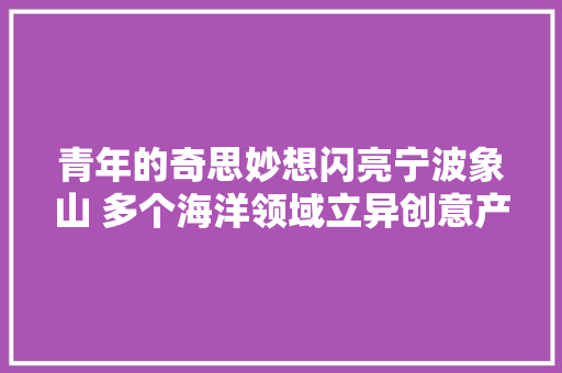 青年的奇思妙想闪亮宁波象山 多个海洋领域立异创意产品宣告