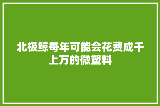 北极鲸每年可能会花费成千上万的微塑料