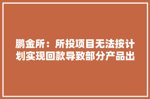 鹏金所：所投项目无法按计划实现回款导致部分产品出现延期兑付