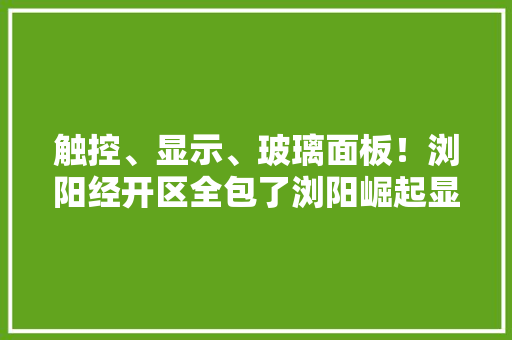 触控、显示、玻璃面板！浏阳经开区全包了浏阳崛起显示功能器件全家当链