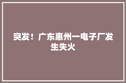 突发！广东惠州一电子厂发生失火