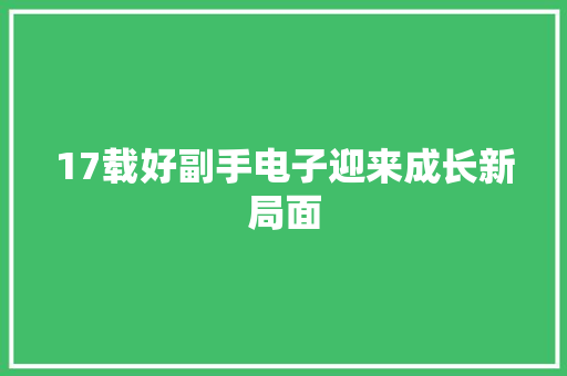 17载好副手电子迎来成长新局面