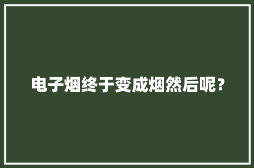 电子烟终于变成烟然后呢？