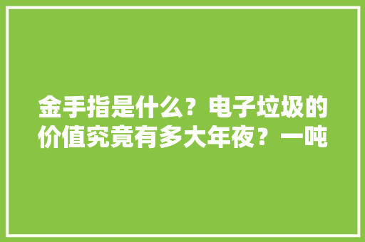 金手指是什么？电子垃圾的价值究竟有多大年夜？一吨垃圾有两百克黄金