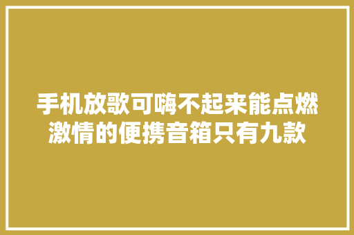 手机放歌可嗨不起来能点燃激情的便携音箱只有九款