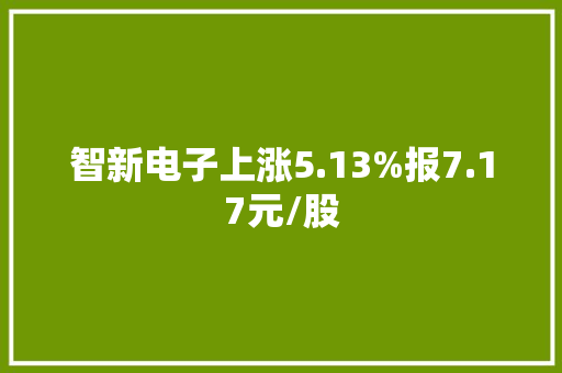 智新电子上涨5.13%报7.17元/股