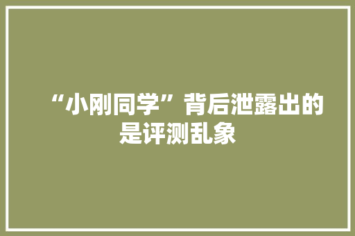 “小刚同学”背后泄露出的是评测乱象