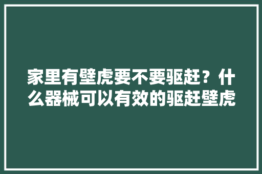 家里有壁虎要不要驱赶？什么器械可以有效的驱赶壁虎？