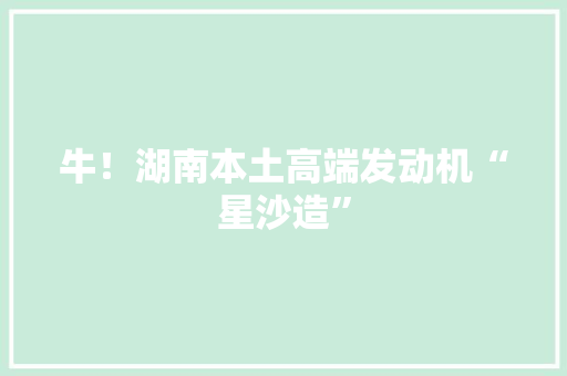 牛！湖南本土高端发动机“星沙造”