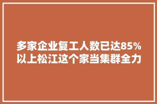 多家企业复工人数已达85%以上松江这个家当集群全力保障后勤链、供应链、分娩链