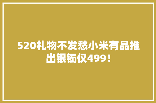 520礼物不发愁小米有品推出银镯仅499！