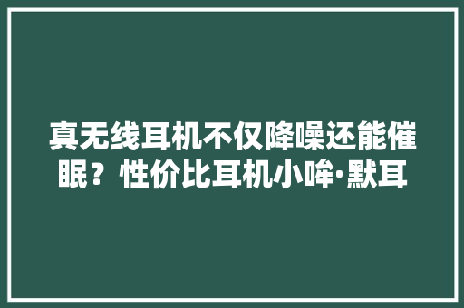 真无线耳机不仅降噪还能催眠？性价比耳机小哞·默耳机评测