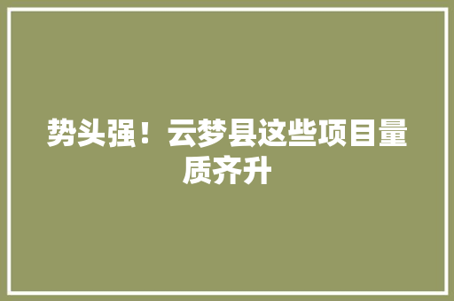 势头强！云梦县这些项目量质齐升