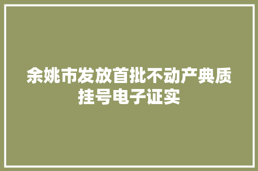 余姚市发放首批不动产典质挂号电子证实