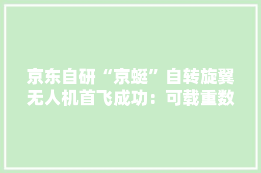 京东自研“京蜓”自转旋翼无人机首飞成功：可载重数百公斤