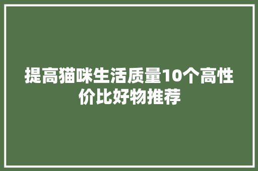 提高猫咪生活质量10个高性价比好物推荐