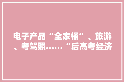 电子产品“全家桶”、旅游、考驾照……“后高考经济”重燃消费热情