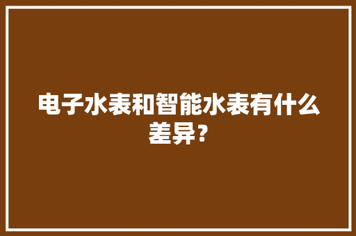 电子水表和智能水表有什么差异？