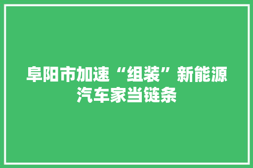 阜阳市加速“组装”新能源汽车家当链条