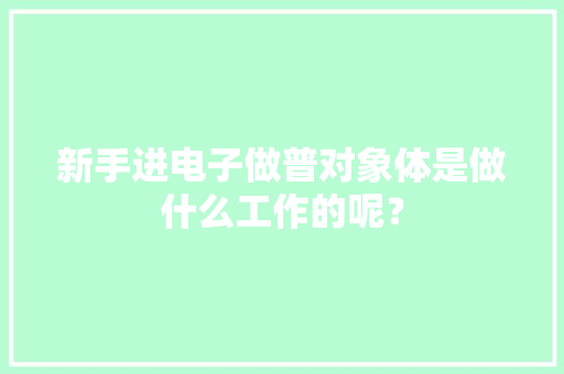 新手进电子做普对象体是做什么工作的呢？