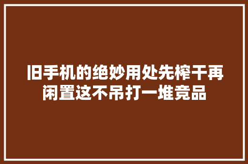 旧手机的绝妙用处先榨干再闲置这不吊打一堆竞品