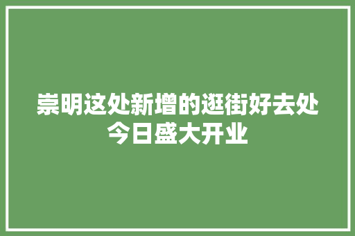 崇明这处新增的逛街好去处今日盛大开业