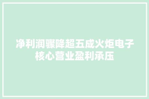 净利润骤降超五成火炬电子核心营业盈利承压