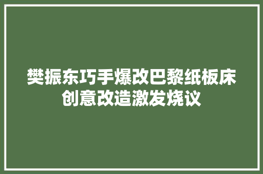 樊振东巧手爆改巴黎纸板床创意改造激发烧议